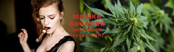 молекула духа Михайловск