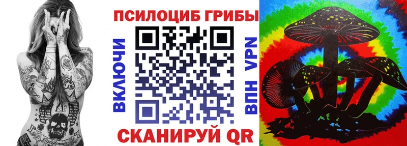 Псилоцибиновые грибы мицелий  kraken как зайти  Звенигово  купить наркотики сайты 